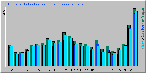 Stunden-Statistik im Monat Dezember 2020