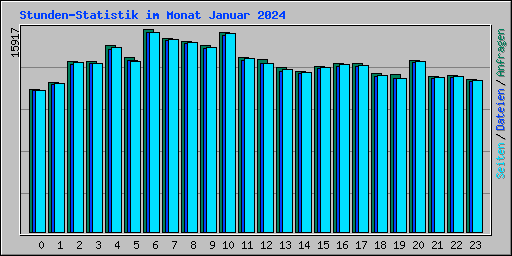 Stunden-Statistik im Monat Januar 2024