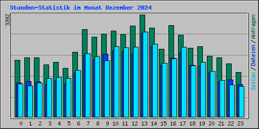 Stunden-Statistik im Monat Dezember 2024