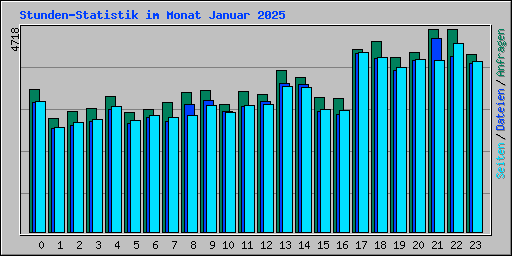 Stunden-Statistik im Monat Januar 2025