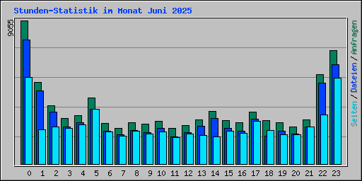 Stunden-Statistik im Monat Juni 2025