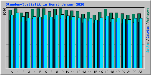 Stunden-Statistik im Monat Januar 2026