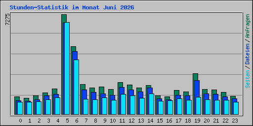 Stunden-Statistik im Monat Juni 2026