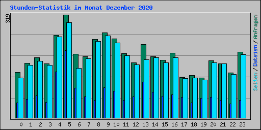 Stunden-Statistik im Monat Dezember 2020
