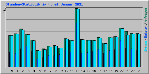 Stunden-Statistik im Monat Januar 2021
