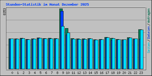 Stunden-Statistik im Monat Dezember 2025