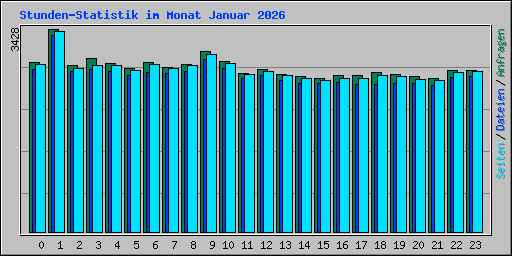 Stunden-Statistik im Monat Januar 2026